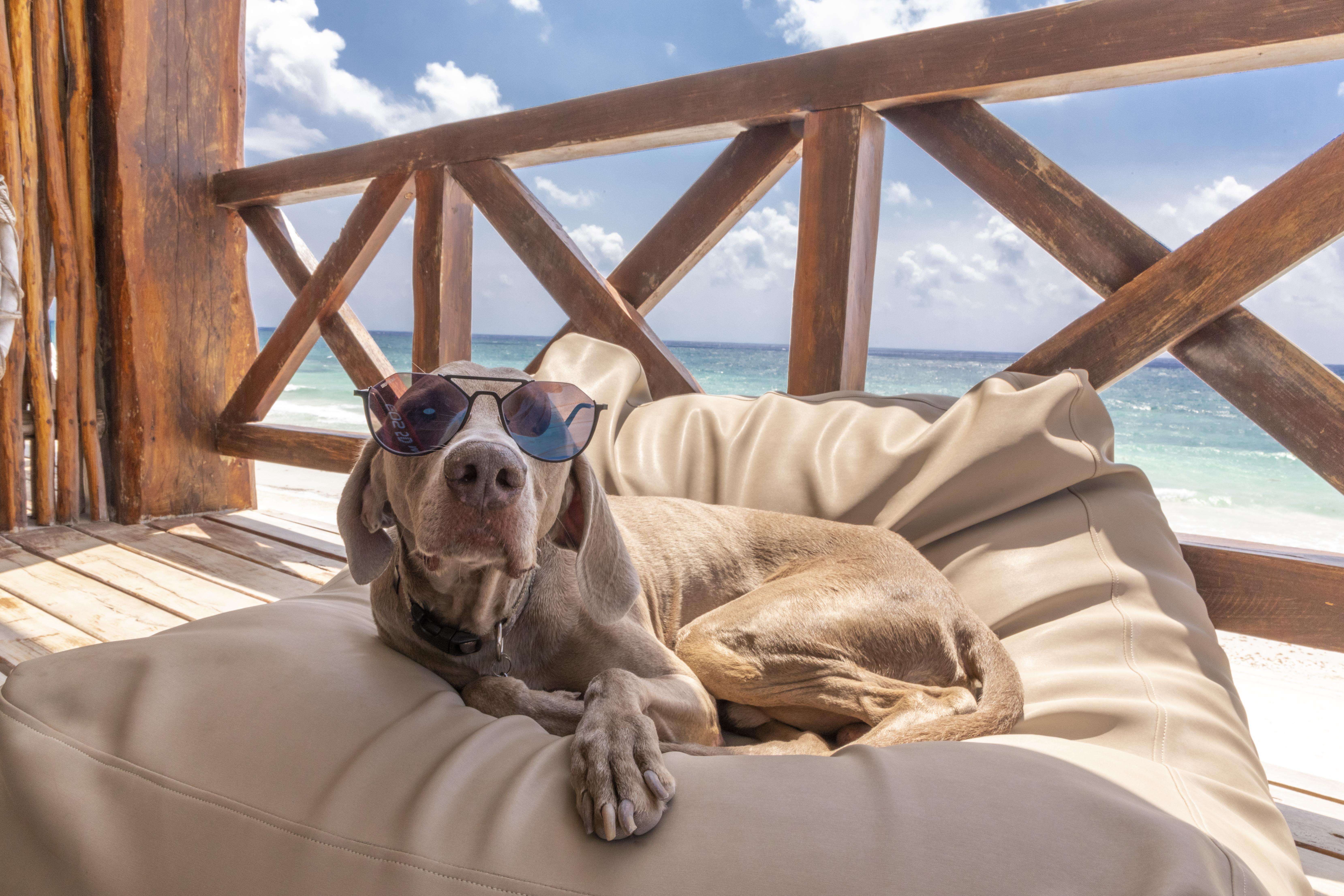 Hotelito Azul Tulum Eksteriør billede